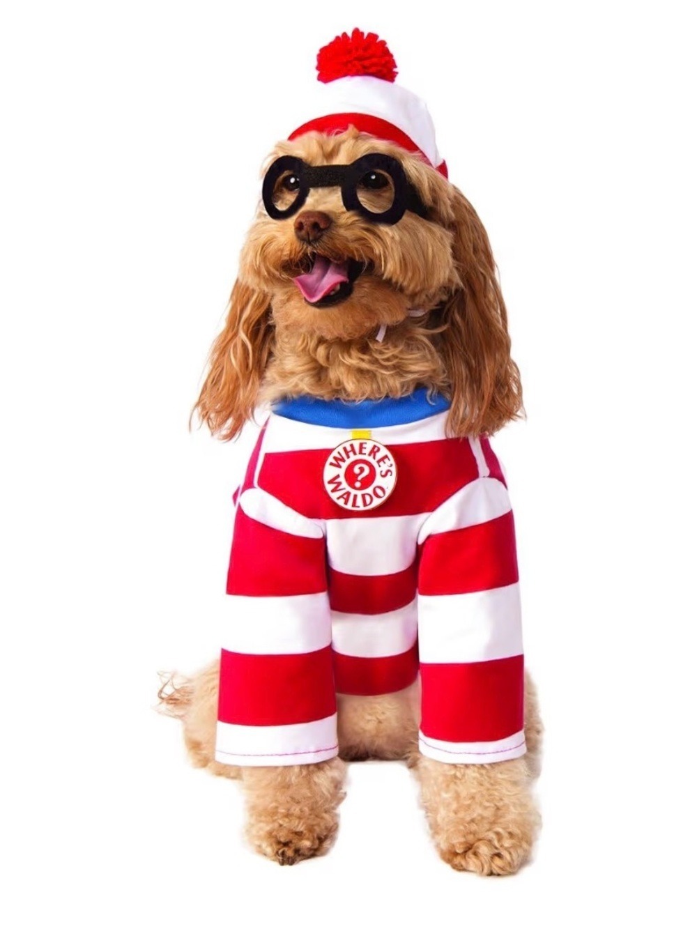 Wheres Waldo  Pet Costume -XL
